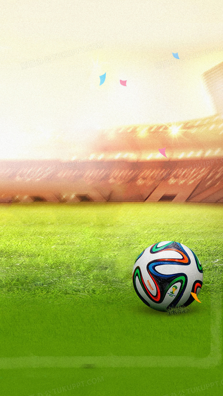 揭示维尼修 揭示维尼修