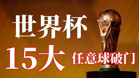 挥的完美融 挥的完美融