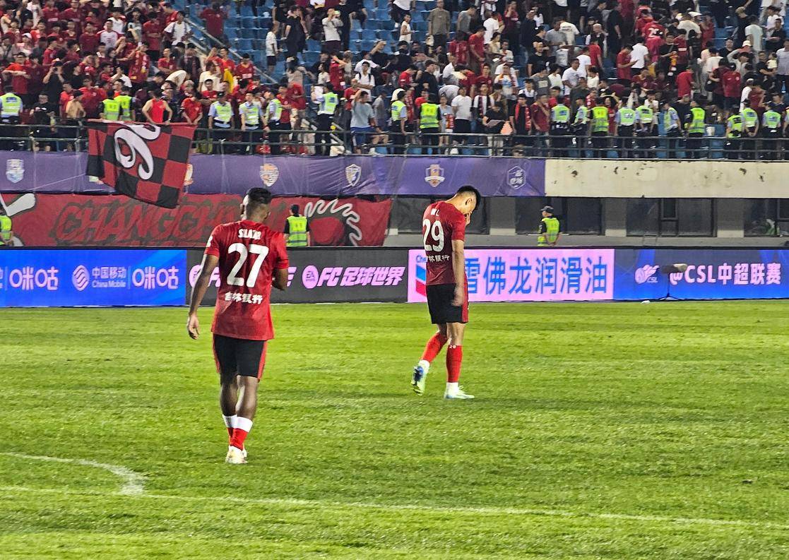 小内德维德 小内德维德